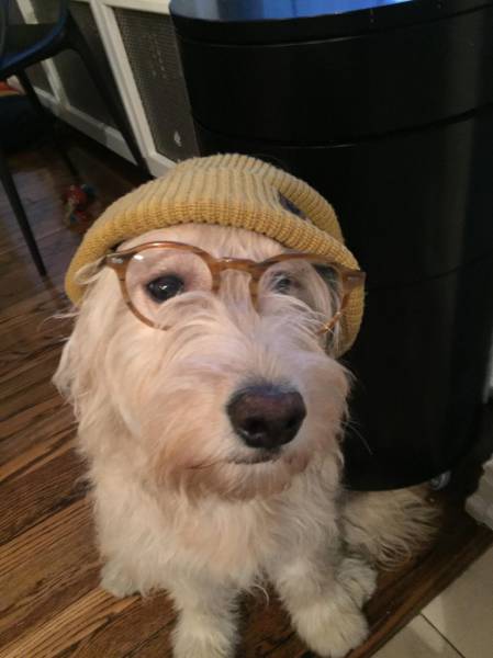 morning picdump 54 pics 51.html - 54 HD Photos | Premium Gallery 2015