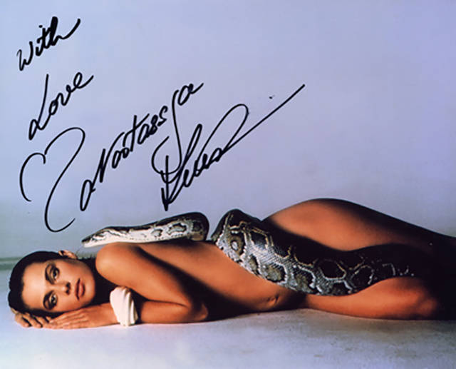 Sex Symbols from Over the Last Century