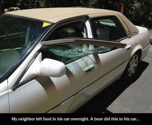 daily picdump 101 pics 6.html - 101 HD Photos | Premium Gallery 2015