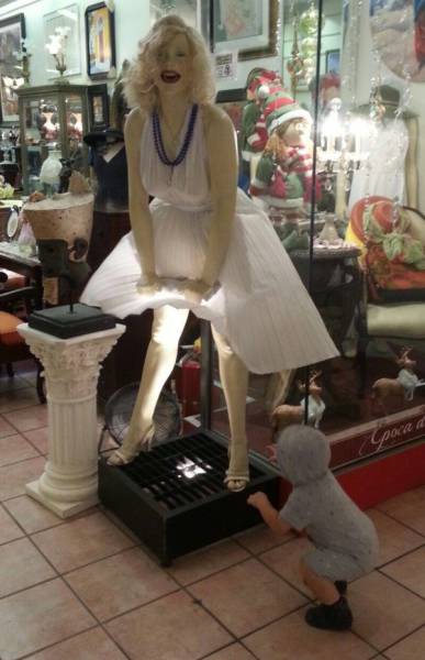 daily picdump 101 pics 6.html - 101 HD Photos | Premium Gallery 2015