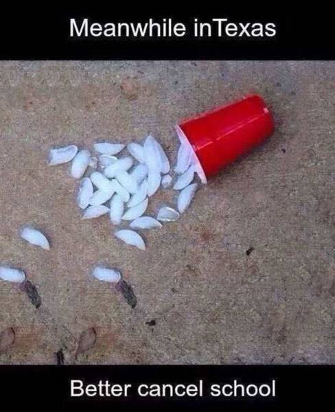 daily picdump 101 pics 6.html - 101 HD Photos | Premium Gallery 2015