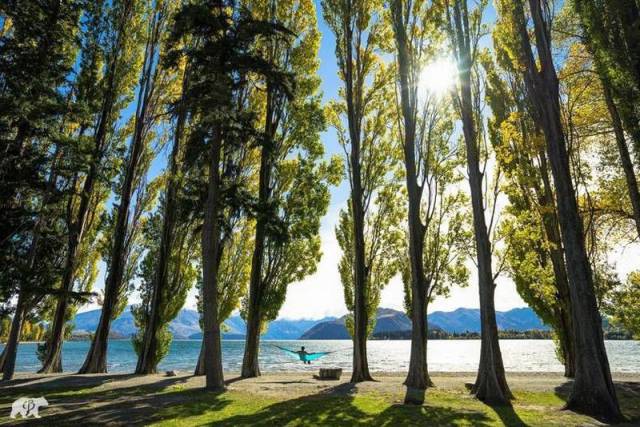 daily picdump 101 pics 6.html - 101 HD Photos | Premium Gallery 2015