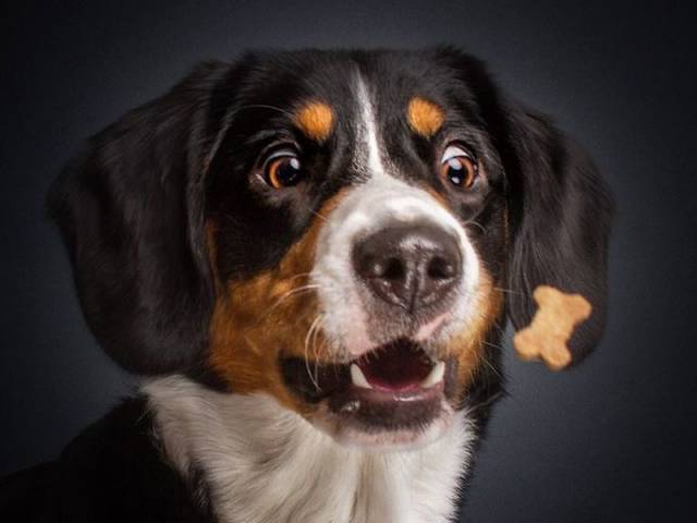 daily picdump 101 pics 6.html - 101 HD Photos | Premium Gallery 2015