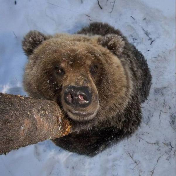 daily picdump 101 pics 6.html - 101 HD Photos | Premium Gallery 2015