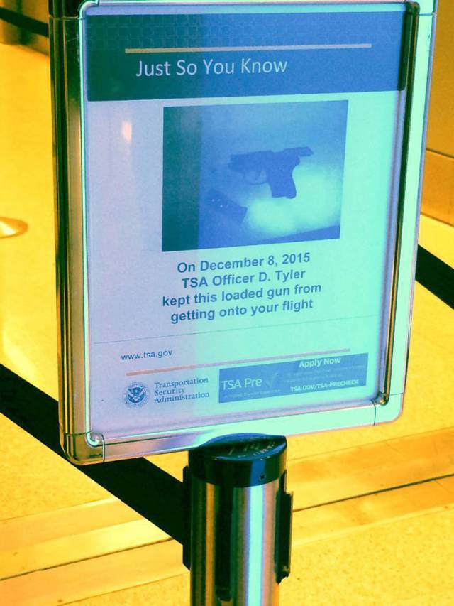 daily picdump 101 pics 6.html - 101 HD Photos | Premium Gallery 2015