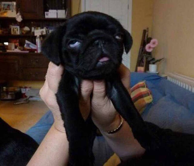 morning picdump 50 pics 9.html - 50 HD Photos | Premium Gallery 2015