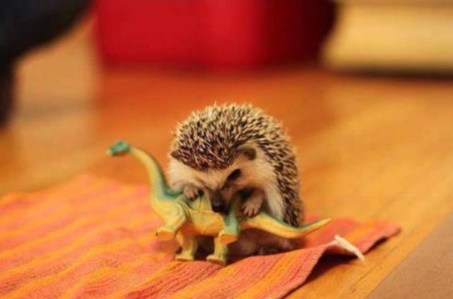 morning picdump 50 pics 9.html - 50 HD Photos | Premium Gallery 2015