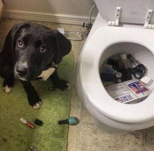 page,60,top 1500 daily pics of the year 2015.html - 1 HD Photos | Premium Gallery 2015