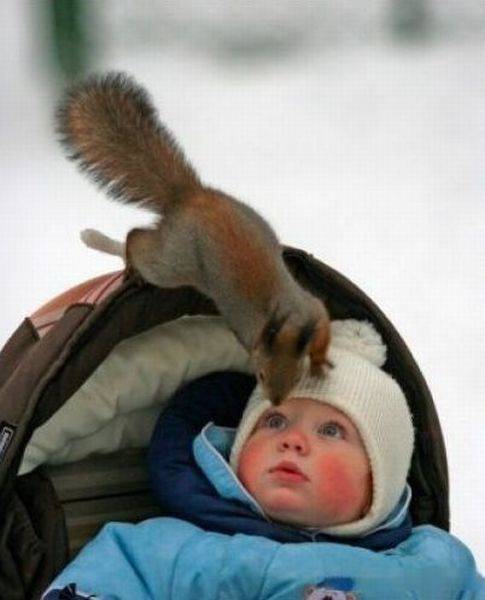 page,60,top 1500 daily pics of the year 2015.html - 1 HD Photos | Premium Gallery 2015