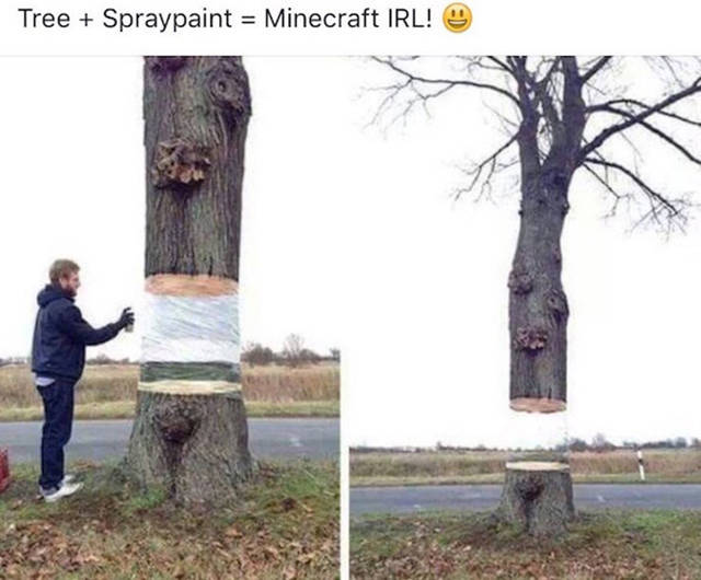 Gamers Will Approve...