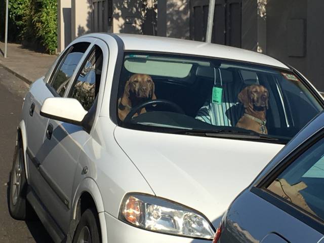 morning picdump 54 pics 21.html - 54 HD Photos | Premium Gallery 2015