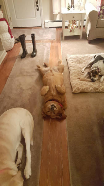 morning picdump 54 pics 21.html - 54 HD Photos | Premium Gallery 2015