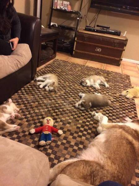 Morning Picdump