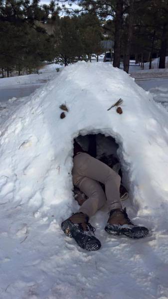 Morning Picdump