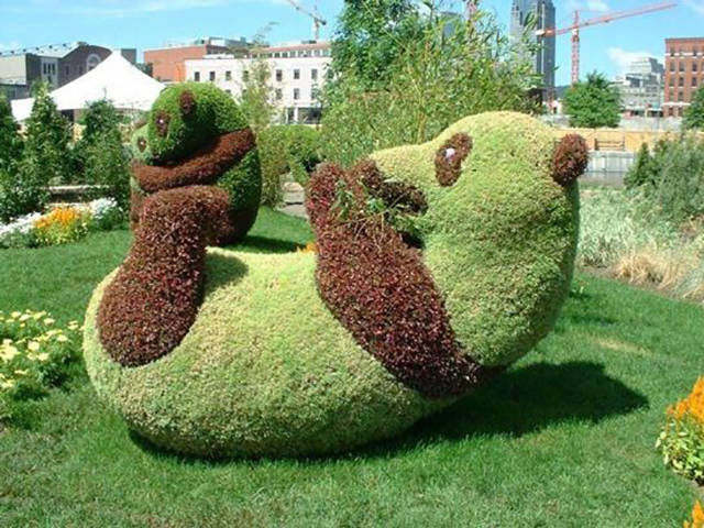 Morning Picdump
