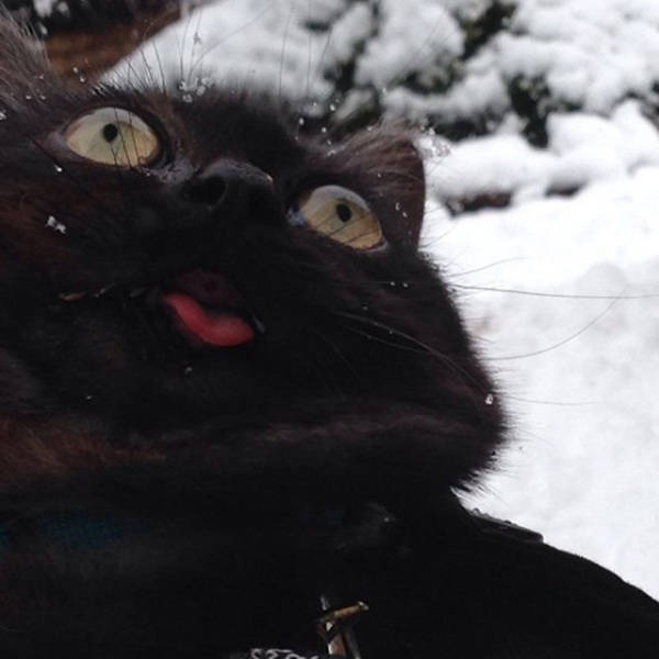 Morning Picdump