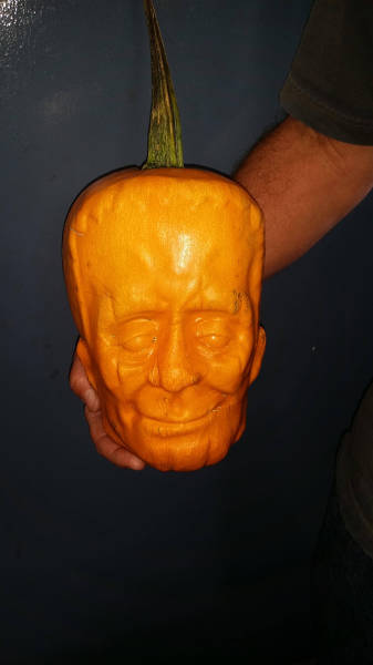 Morning Picdump