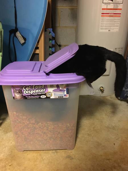 morning picdump 51 pics 17.html - 51 HD Photos | Premium Gallery 2016