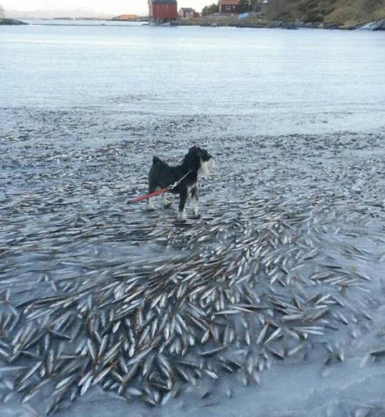 morning picdump 51 pics 17.html - 51 HD Photos | Premium Gallery 2016