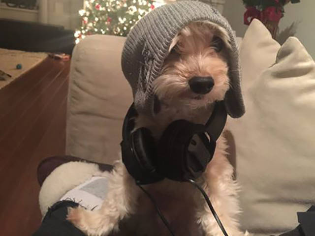 morning picdump 51 pics 17.html - 51 HD Photos | Premium Gallery 2016
