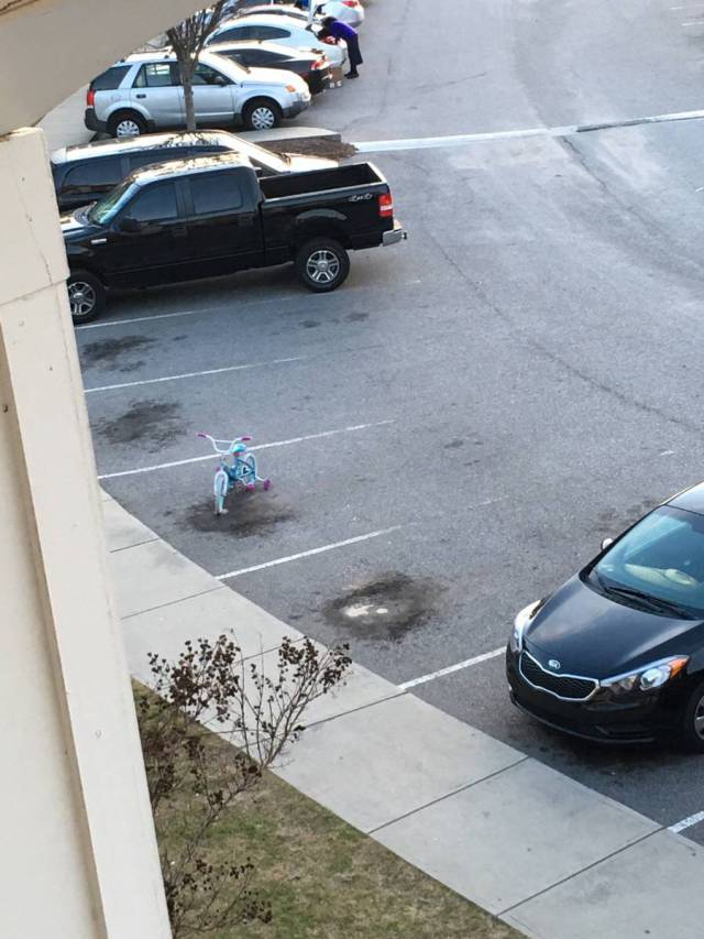 morning picdump 51 pics 17.html - 51 HD Photos | Premium Gallery 2016