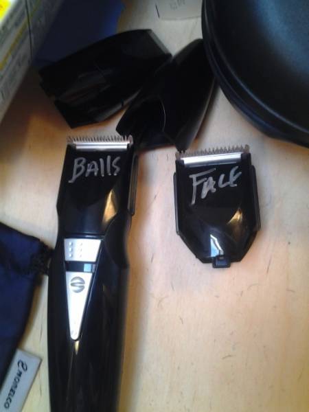 Morning Picdump