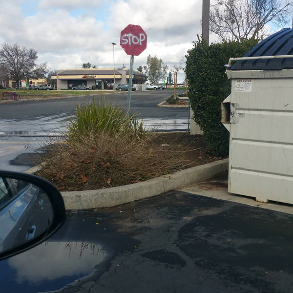 morning picdump 52 pics 17.html - 52 HD Photos | Premium Gallery 2016