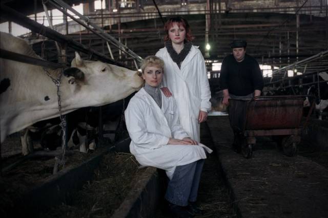 morning picdump 52 pics 17.html - 52 HD Photos | Premium Gallery 2016