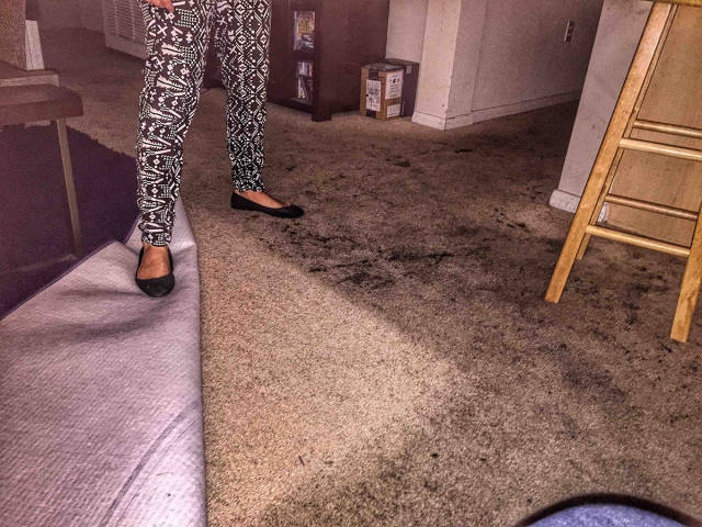 morning picdump 52 pics 17.html - 52 HD Photos | Premium Gallery 2016