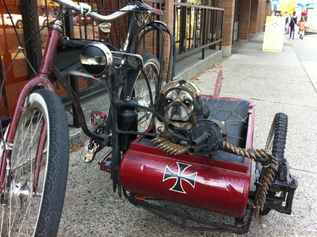 morning picdump 51 pics 23.html - 51 HD Photos | Premium Gallery 2016