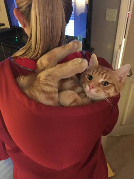 Morning Picdump