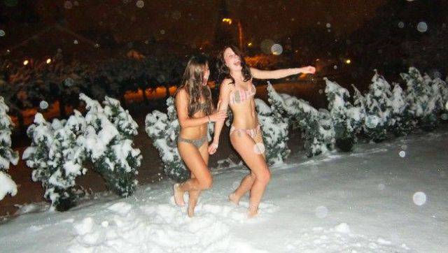 Daily Picdump