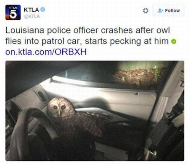 daily picdump 112 pics 31.html - 112 HD Photos | Premium Gallery 2016
