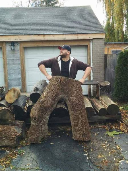 Morning Picdump
