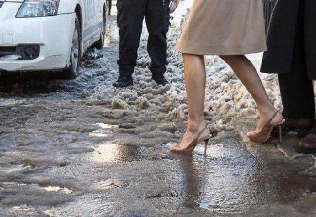 Daily Picdump