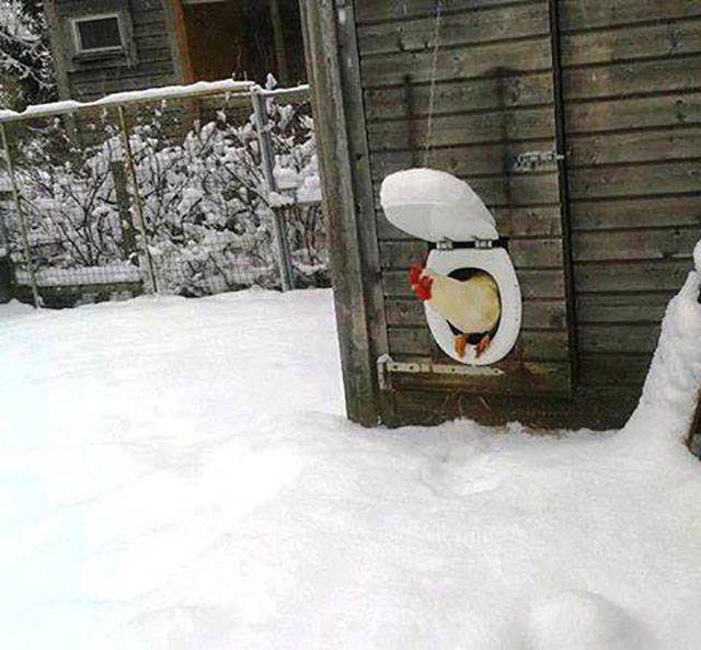 Morning Picdump