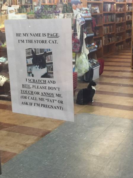 morning picdump 55 pics 2.html - 55 HD Photos | Premium Gallery 2016