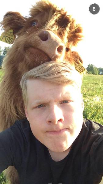 Morning Picdump