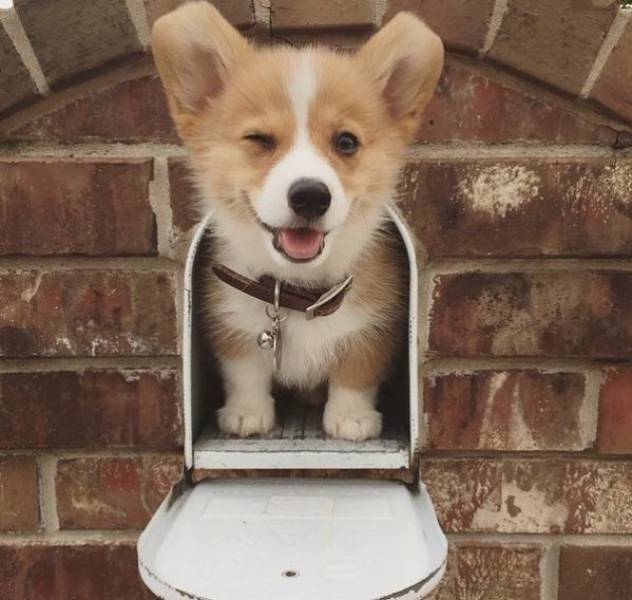 morning picdump 55 pics 2.html - 55 HD Photos | Premium Gallery 2016