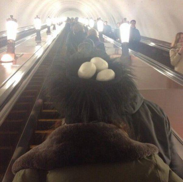 morning picdump 50 pics 12.html - 50 HD Photos | Premium Gallery 2016