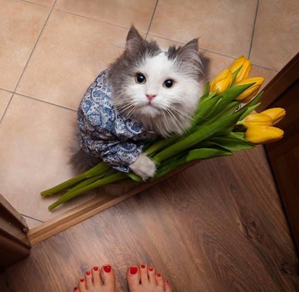 Morning Picdump