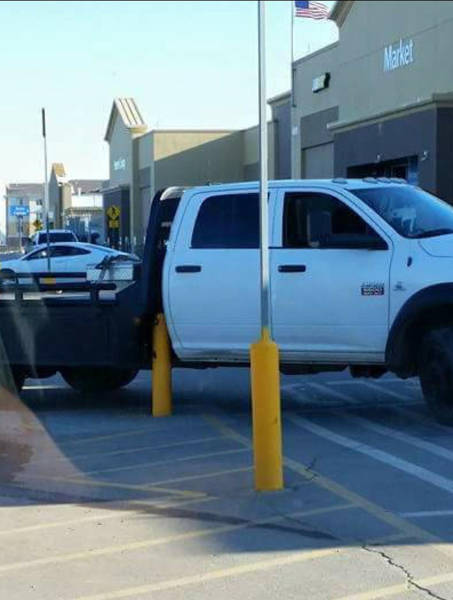 morning picdump 50 pics 12.html - 50 HD Photos | Premium Gallery 2016