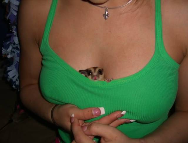 Boobs Can Serve Different Purposes