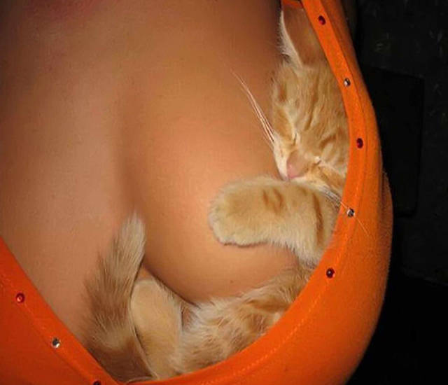 Boobs Can Serve Different Purposes