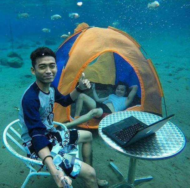 Funny Picdump