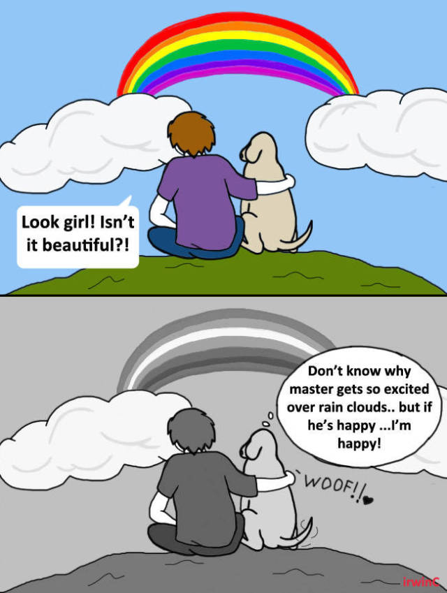 Funny Picdump