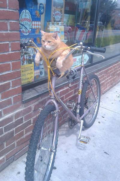 morning picdump 50 pics 20.html - 50 HD Photos | Premium Gallery 2016