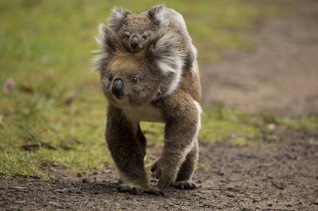 daily picdump 101 pics 9.html - 101 HD Photos | Premium Gallery 2016