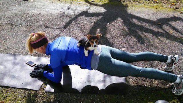 daily picdump 101 pics 9.html - 101 HD Photos | Premium Gallery 2016