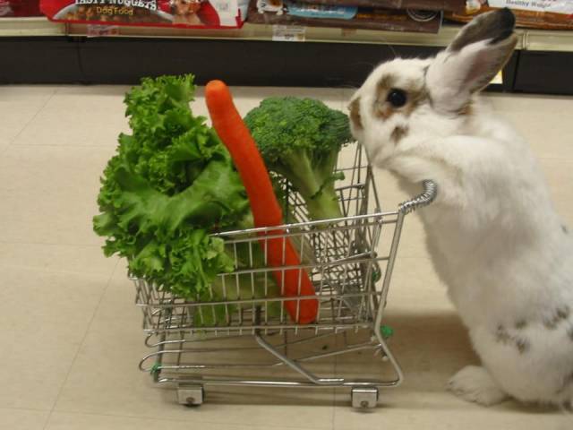 morning picdump 55 pics 16.html - 55 HD Photos | Premium Gallery 2016